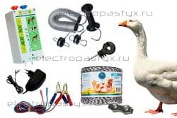 Комплект электропастуха для птиц (0.5 Га) на столбики из дерева